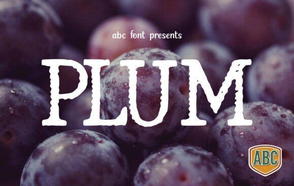 Plum: The Display Typeface That Gives Your Brand a Handmade Soul